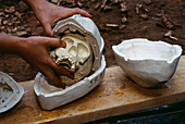 Modelling a fossil skull