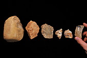 Stone tools,Gran Dolina