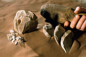 Levallois stone tools