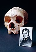 Composite: George Busk and skull of Gibraltar man