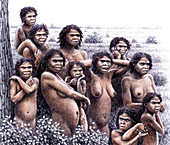 Homo ergaster females and young