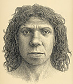 Homo heidelbergensis female