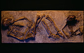Qafzeh human remains