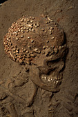 Stone age human skull