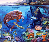 Palaeozoic marine animals