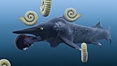 Helicoprion,with ammonites