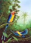Cretaceous birds,artwork