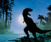 Artwork of a Tyrannosaurus seen at night