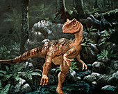Artwork of an Allosaurus sp dinosaur