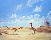 Artwork of Compsognathus sp dinosaurs