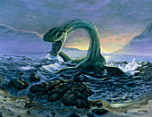 Artwork of Elasmosaurus,a marine dinosaur