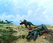 Artwork of Tyrannosaurus & Triceratops dinosaurs