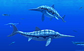 Ichthyosaur marine reptiles