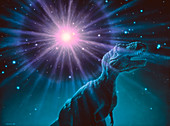 Supernova dinosaur extinction