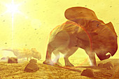 Dinosaurs in dust storm
