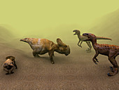 Protoceratops dinosaur defending young