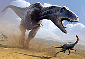 Tyrannosaurus rex hunting