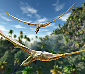 Pterosaurs flying,computer artwork