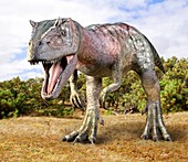 Allosaurus dinosaur,artwork