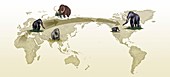 Mammoth evolutionary migration,artwork