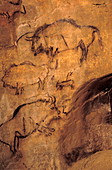 Niaux cave paintings