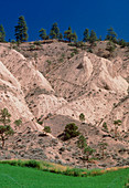 Hill soil erosion caused by over-grazing