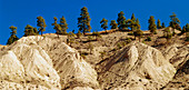 Eroded walls of Nicola River Canyon,Canada