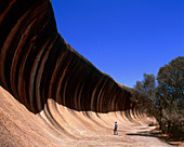 Wave rock formed by sandstone erosion,Australia