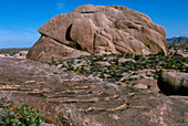 View of granite rock undergoing exfoliation