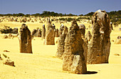 Weathered limestone pinnacles