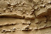 Eroded sandstone,Alberta