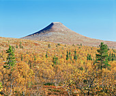 Stadjan mountain,Sweden