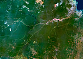 Amazon River,satellite image