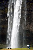 Seljalandsfoss waterfall,Iceland