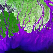 Ganges Delta