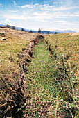 Overgrown canal