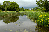 Grand Western Canal,Devon,UK