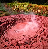 Boiling mud pool in Kamchatka,Russia