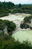 The Frying Pan Flat,New Zealand