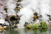 Geothermal lake