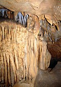 Stalactites in Florida Caverns Marianna