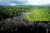 Artificial lake,South America