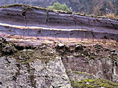 Peat layer in cliff