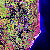 Coastal wetlands,satellite image