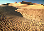 Sand dunes alongside true desert floor