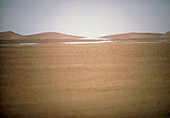 Mirage in the Tanzerouft desert,Algeria