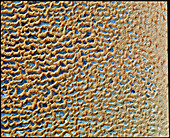 Sand dunes from space,Saudi Arabia