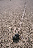 Rock track,Death Valley