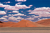 Namib desert