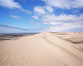 Coastal desert